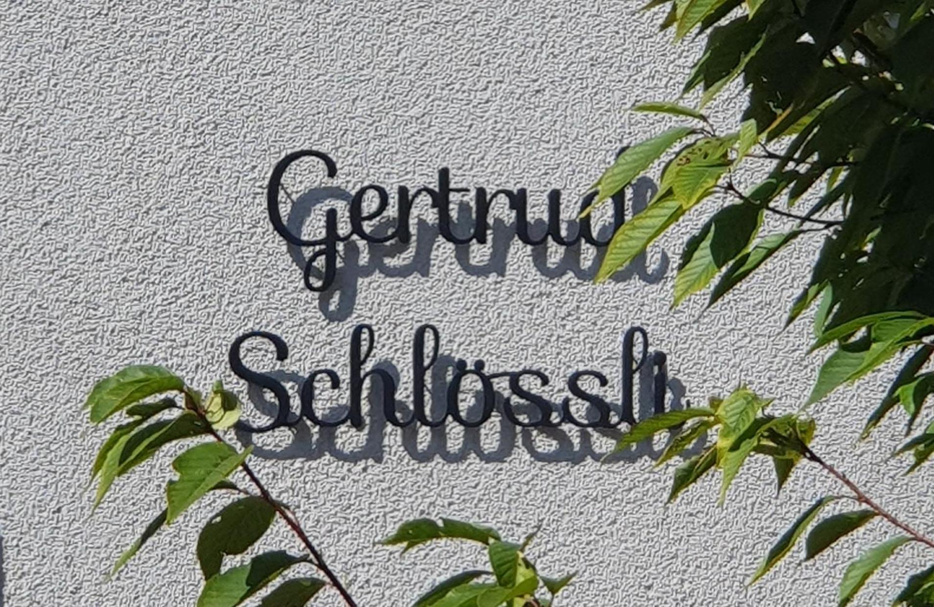 2-4 Zimmer Apartments Stilvoll Im Gertrud Schloessli - Zentral Ruhig 세인트갈렌 외부 사진